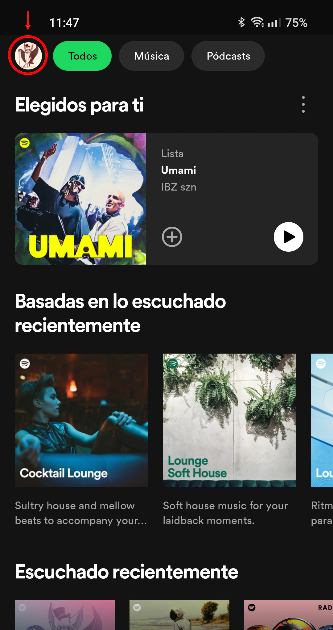 IMG Perfil app Spotify