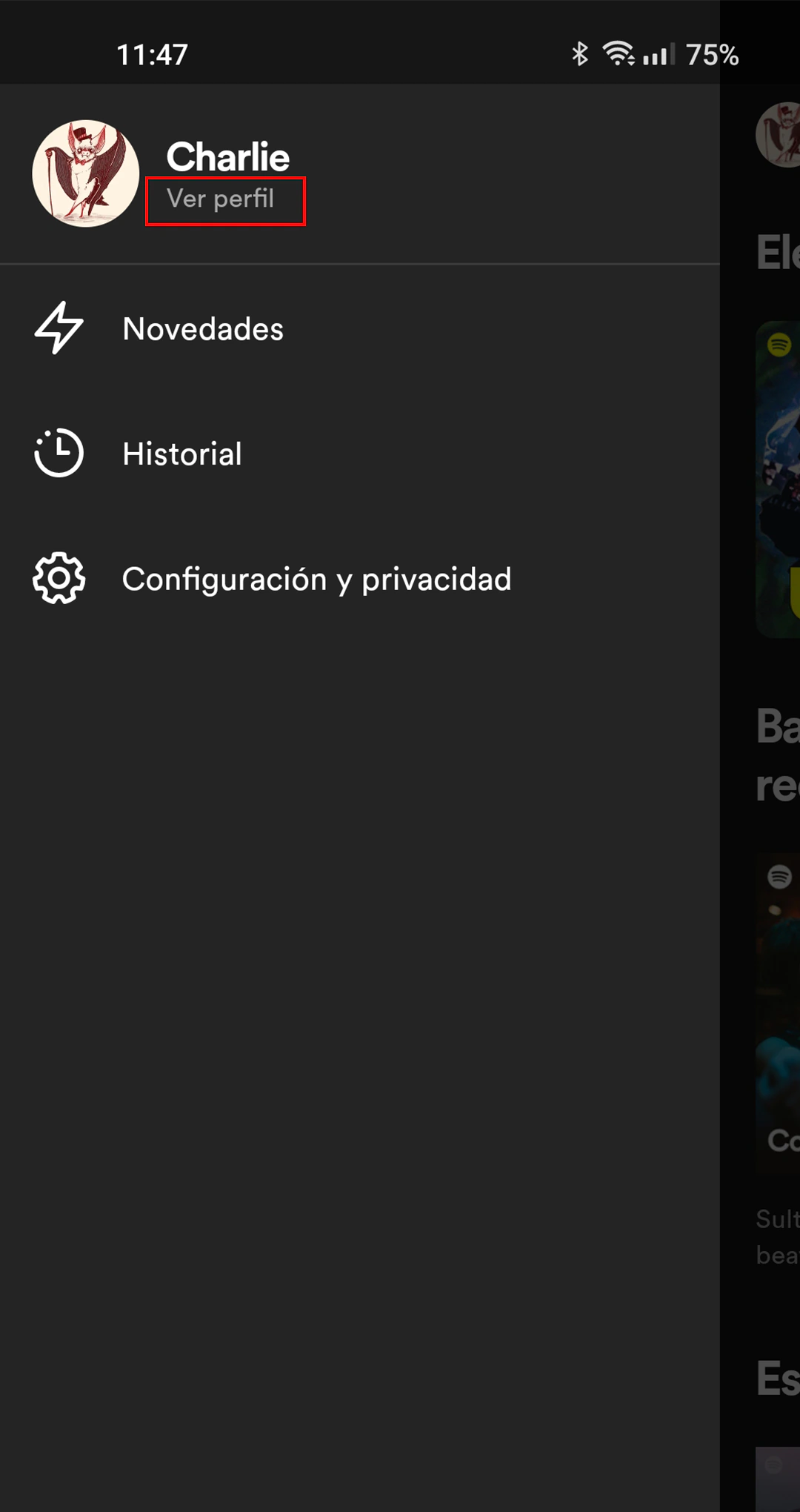 Spotify app Ver perfil